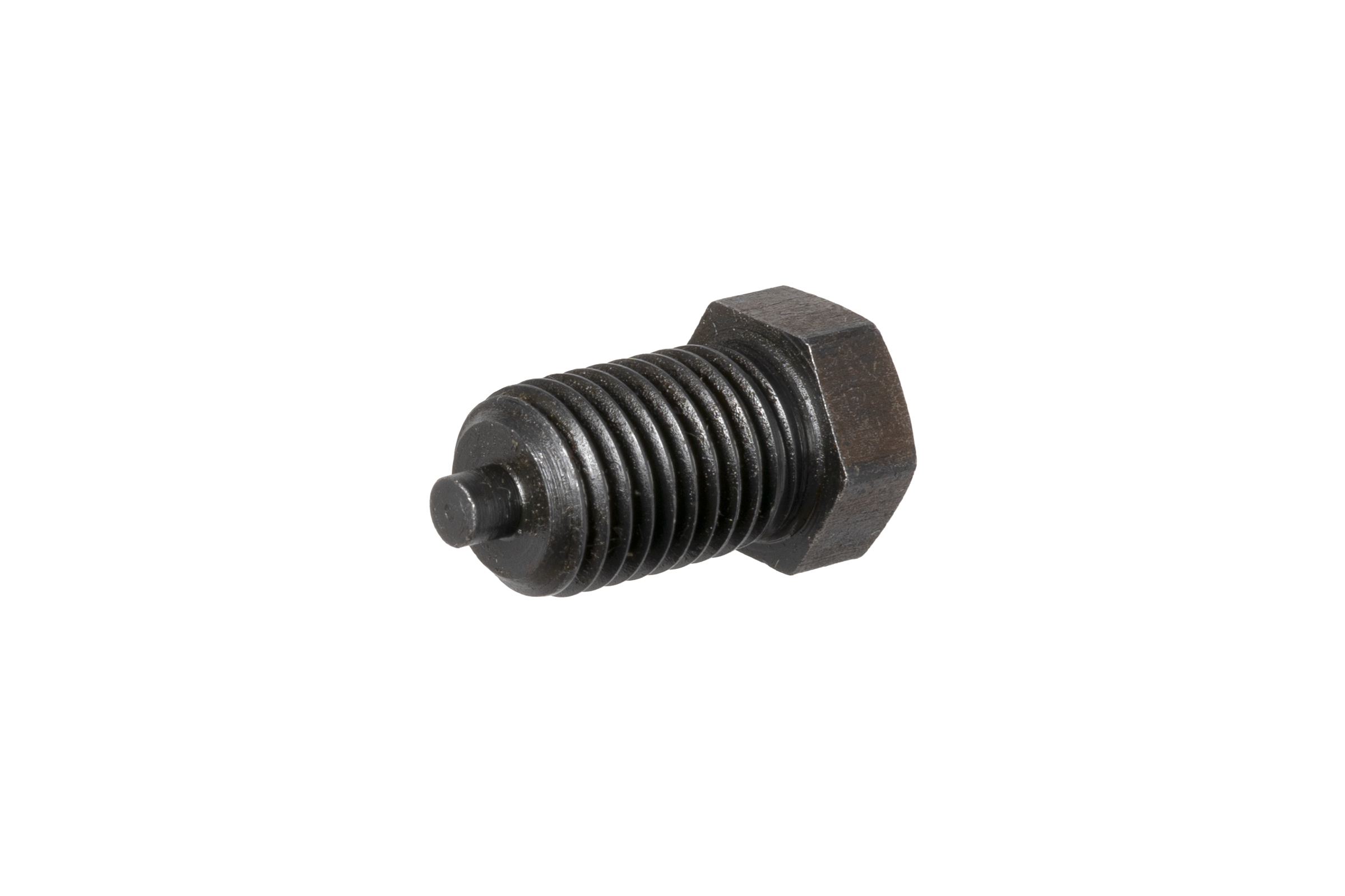 Chain Tensioner Bolt