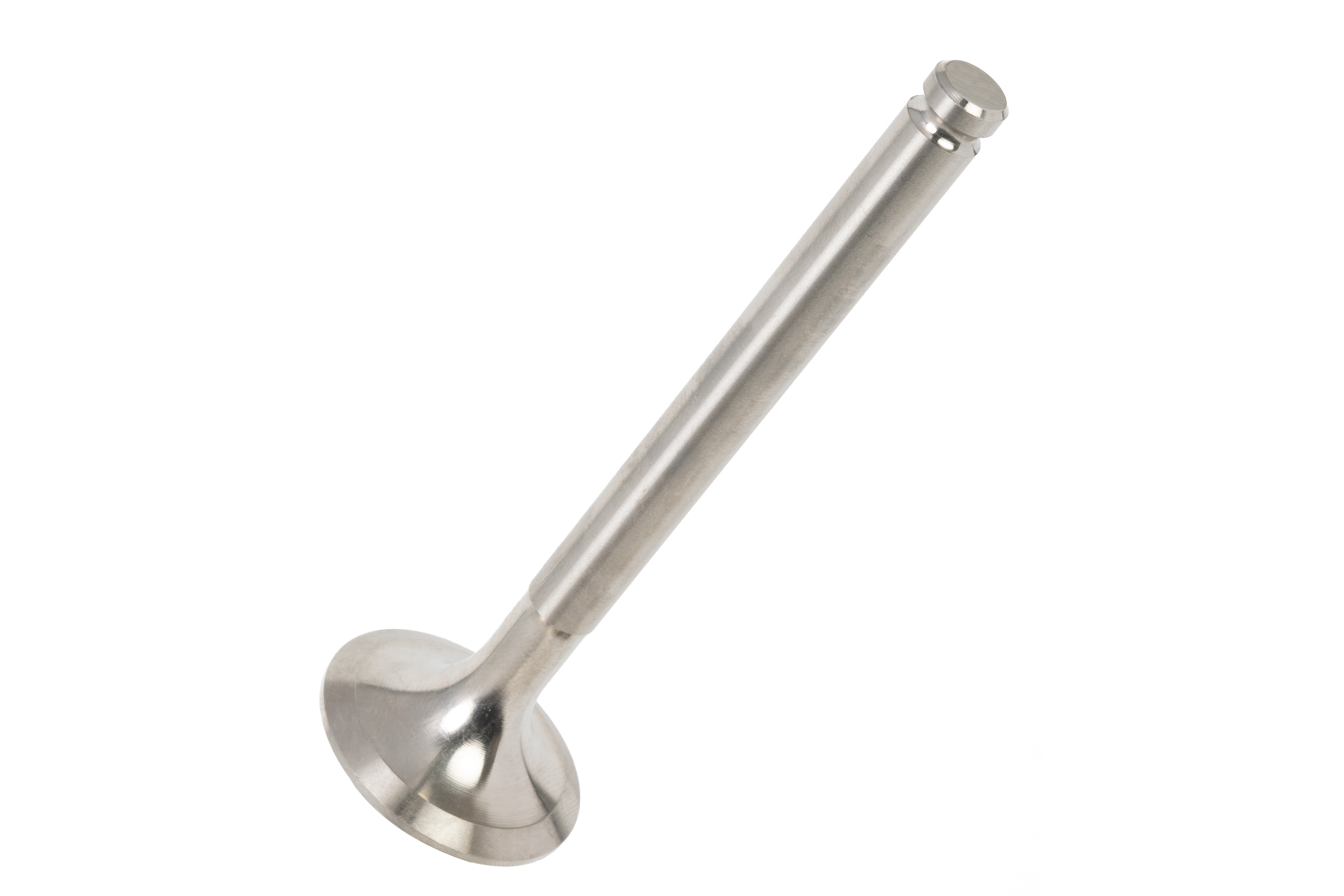 Exhaust Valve