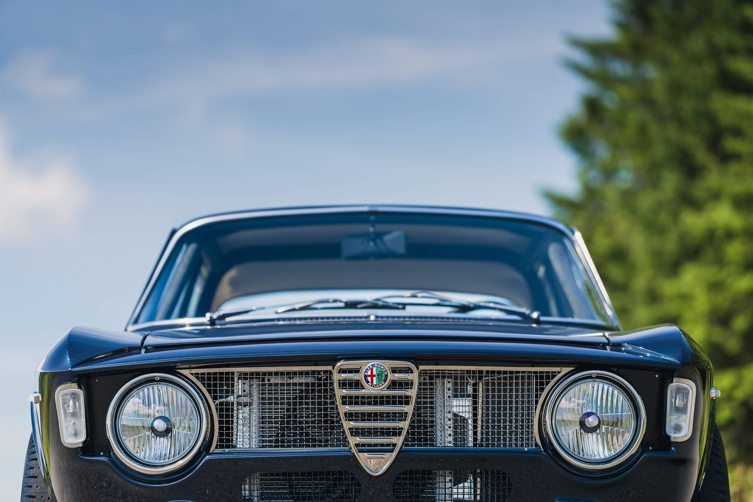 Mesh Grille Kit • GTA Step Front Mesh Grille Kit • GTA Step Front
