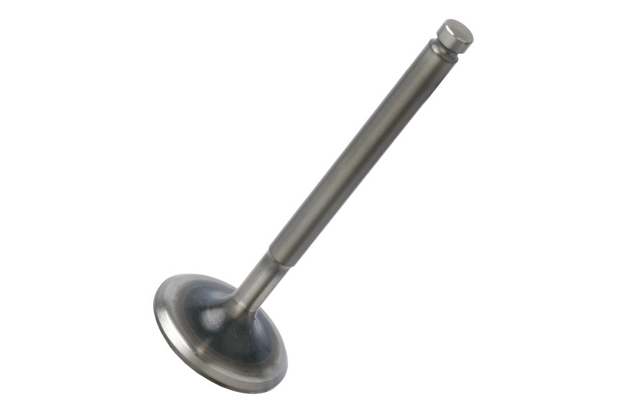 Exhaust Valve • 38.5mm • 8mm Stem • Race